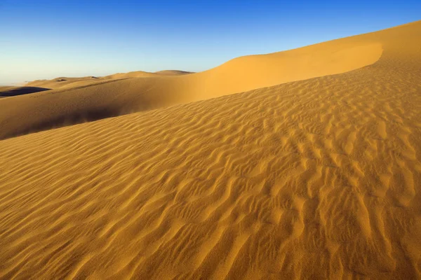 Désert Dense Poussière Dunes Belles Structures Sablonneuses Lumière Soleil Bas — Photo