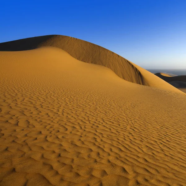 Woestijn Dicht Goudstof Duinen Prachtige Zandstructuren Het Licht Van Lage — Stockfoto