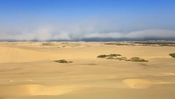 Deserto Poeira Ouro Densa Dunas Belas Estruturas Arenosas Luz Sol — Fotografia de Stock