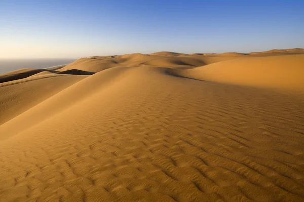 Пустыня Плотная Золотая Пыль Дюны Красивые Песчаные Структуры Свете Низкого — стоковое фото