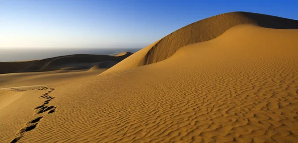 Désert Dense Poussière Dunes Belles Structures Sablonneuses Lumière Soleil Bas — Photo