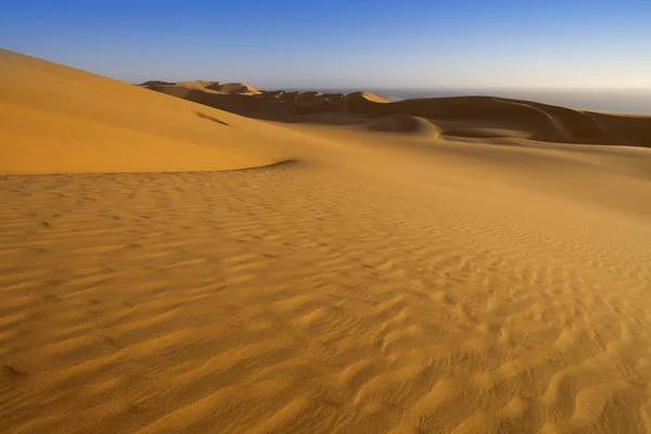 Desert Dense Gold Dust Dunes Beautiful Sandy Structures Light Low — 스톡 사진