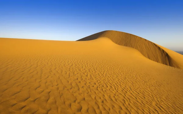 Öknen Tätt Guldstoft Sanddyner Och Vackra Sandstrukturer Ljuset Den Låga — Stockfoto