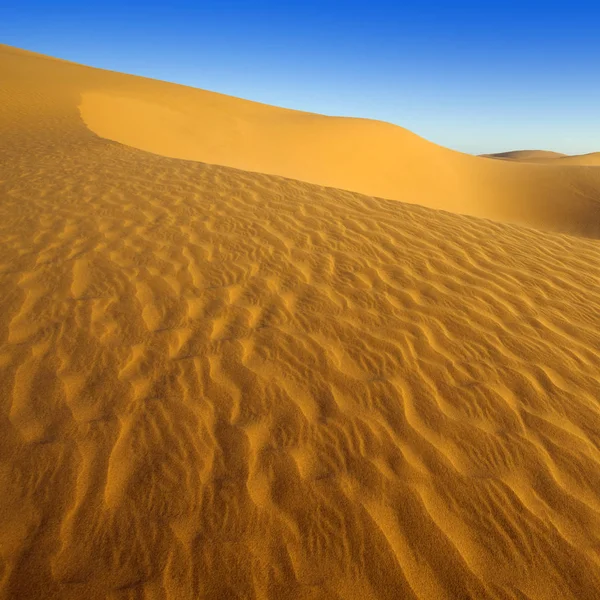 砂漠だ低太陽の光の下で高密度の金の塵 美しい砂の構造 — ストック写真