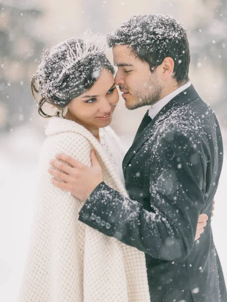 Casamento de inverno — Fotografia de Stock