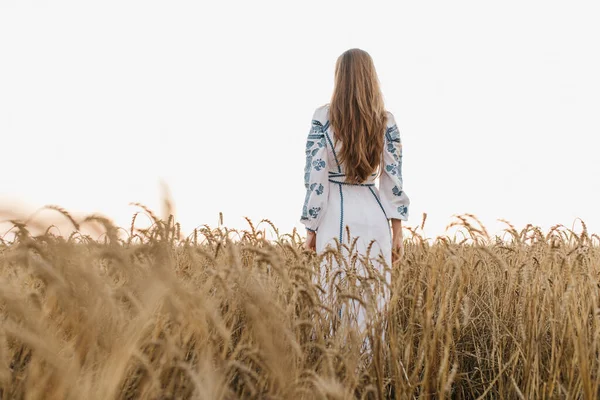 Gadis Ukraina Ladang Gandum Melihat Dari Belakang — Stok Foto