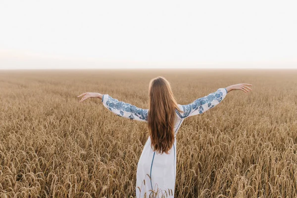 Gadis Ukraina Ladang Gandum Melihat Dari Belakang — Stok Foto