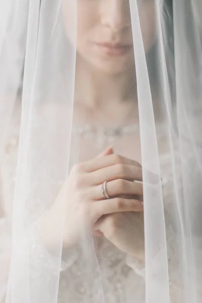 Close Tender Bride Hands — Stock Photo, Image