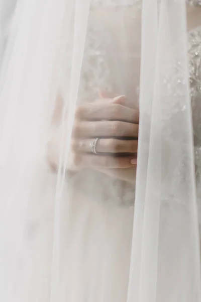 Close Tender Bride Hands — Stock Photo, Image