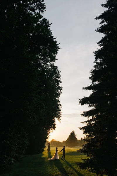 Casamento Cara Cara Pôr Sol Com Colinas Verdes Fundo — Fotografia de Stock