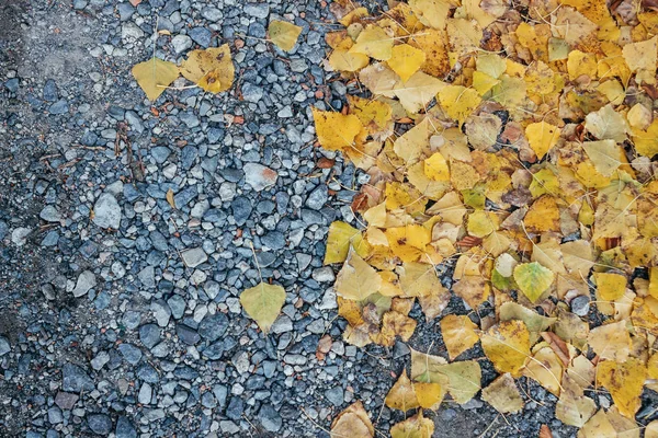 Опавшие цветные листья лежат на скалистой стороне асфальтовой дороги — стоковое фото