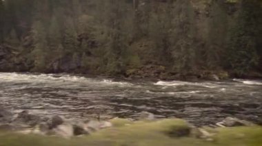 Clearwater Batı Idaho sürüş nehir bir güneşli bahar sabahı vurdu