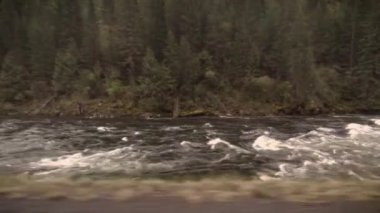 Clearwater Batı Idaho sürüş nehir bir güneşli bahar sabahı vurdu