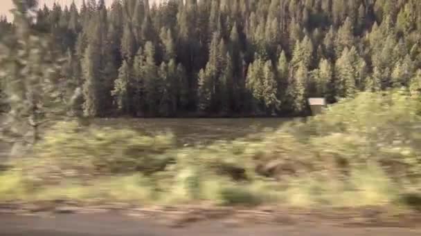 Clearwater River Zachodniej Idaho Jazdy Strzał Słoneczny Wiosenny Poranek — Wideo stockowe