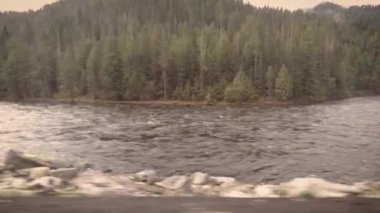 Clearwater Batı Idaho sürüş nehir bir güneşli bahar sabahı vurdu