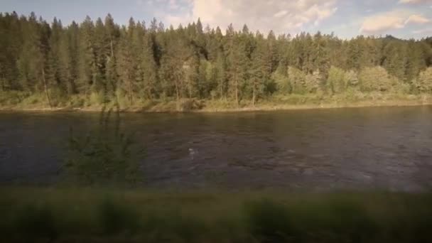 Clearwater River Zachodniej Idaho Słoneczny Wiosenny Poranek — Wideo stockowe