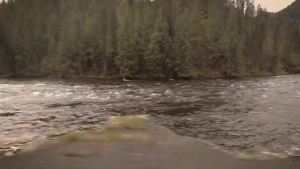 Clearwater River Passe Par Matin Printemps Ensoleillé Dans Idaho — Video