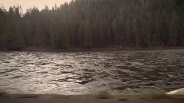 Clearwater River Passe Par Matin Printemps Ensoleillé Dans Idaho — Video