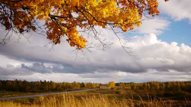 Paisaje otoñal con carretera y coches en movimiento — Vídeos de Stock