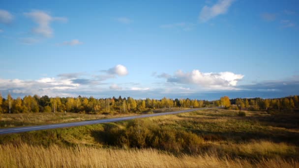 Herfst landschap met weg- en bewegende auto 's — Stockvideo