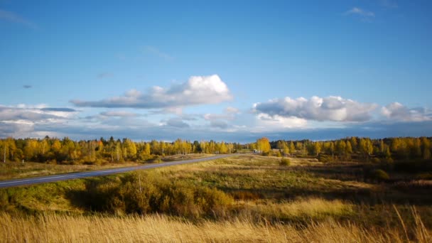 Herfstwandeling op achtergrond van eenzame oude eik — Stockvideo