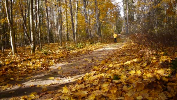Leeftijd sportieve vrouw jog in herfst bos — Stockvideo