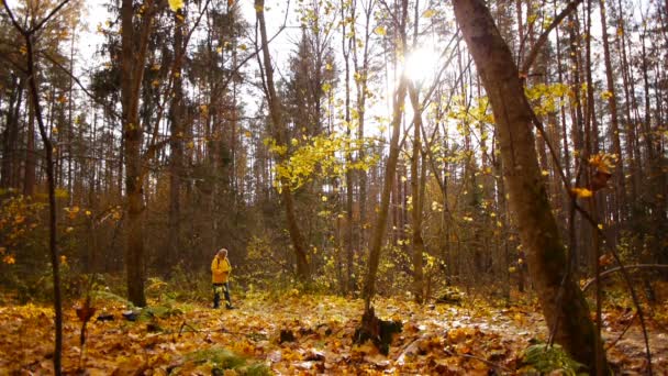 Σε Φθινοπωρινό δάσος με τα πόδια — Αρχείο Βίντεο