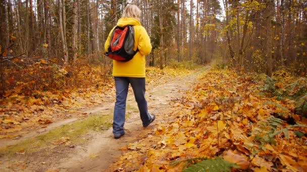 Caminar en bosque otoñal — Vídeo de stock