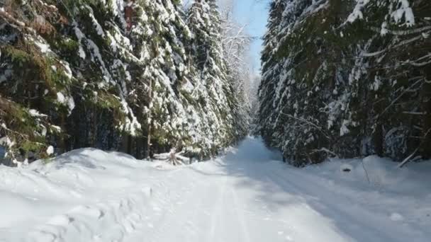 晴天の冬の雪の森でパスに沿って歩くのビデオ ショット — ストック動画