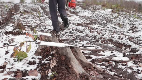 Lumberjack Vai Para Trabalho Lumberjack Com Motosserra Vai Para Floresta — Vídeo de Stock