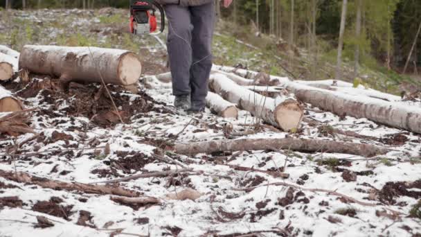 Oduncu Işe Gider Elektrikli Testereli Oduncu Ağaçları Kesmek Için Ormana — Stok video
