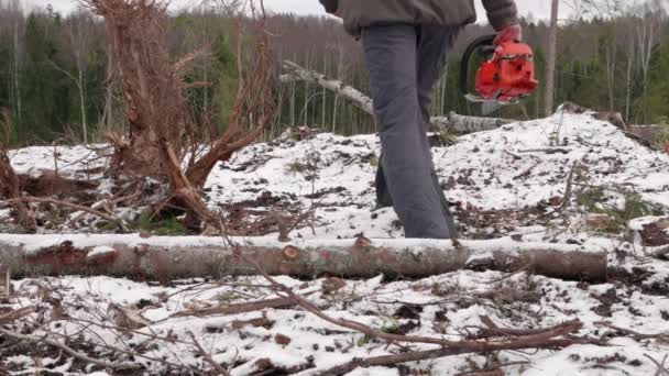 Lumberjack Vai Para Trabalho Lumberjack Com Motosserra Vai Para Floresta — Vídeo de Stock