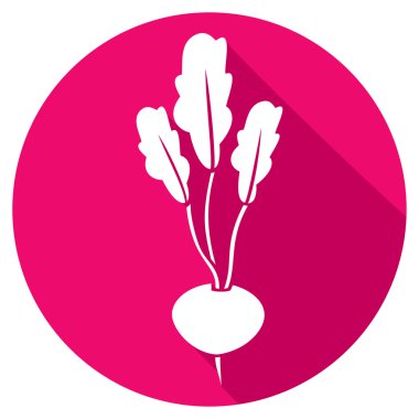 Pancar sebze simgesi