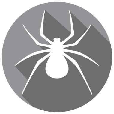 örümcek böcek düz simgesi