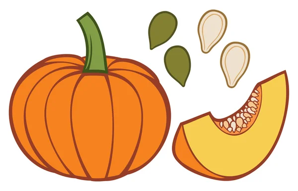 Pumpkin with slice and seeds — Stock Vector