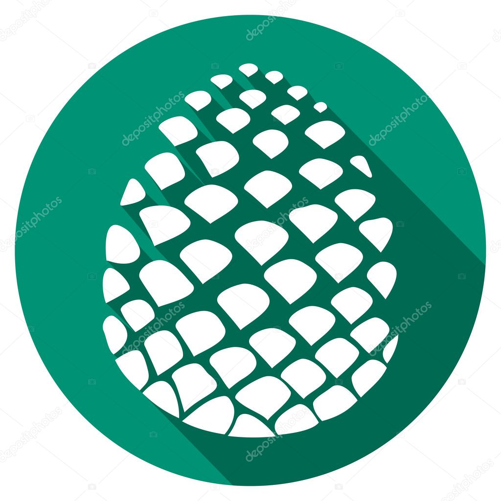 pine cone flat icon