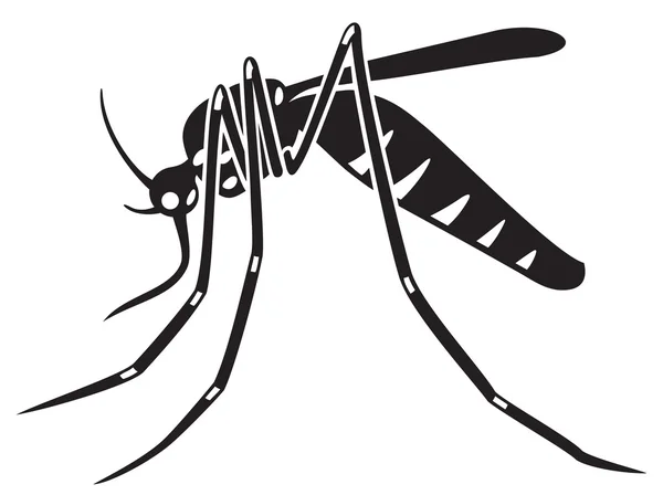 Tiger mosquito insect — Stockvector