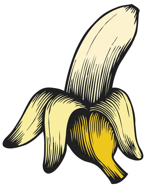 Banana aberta - ilustração vetorial gravada vintage (estilo desenhado à mão ) —  Vetores de Stock