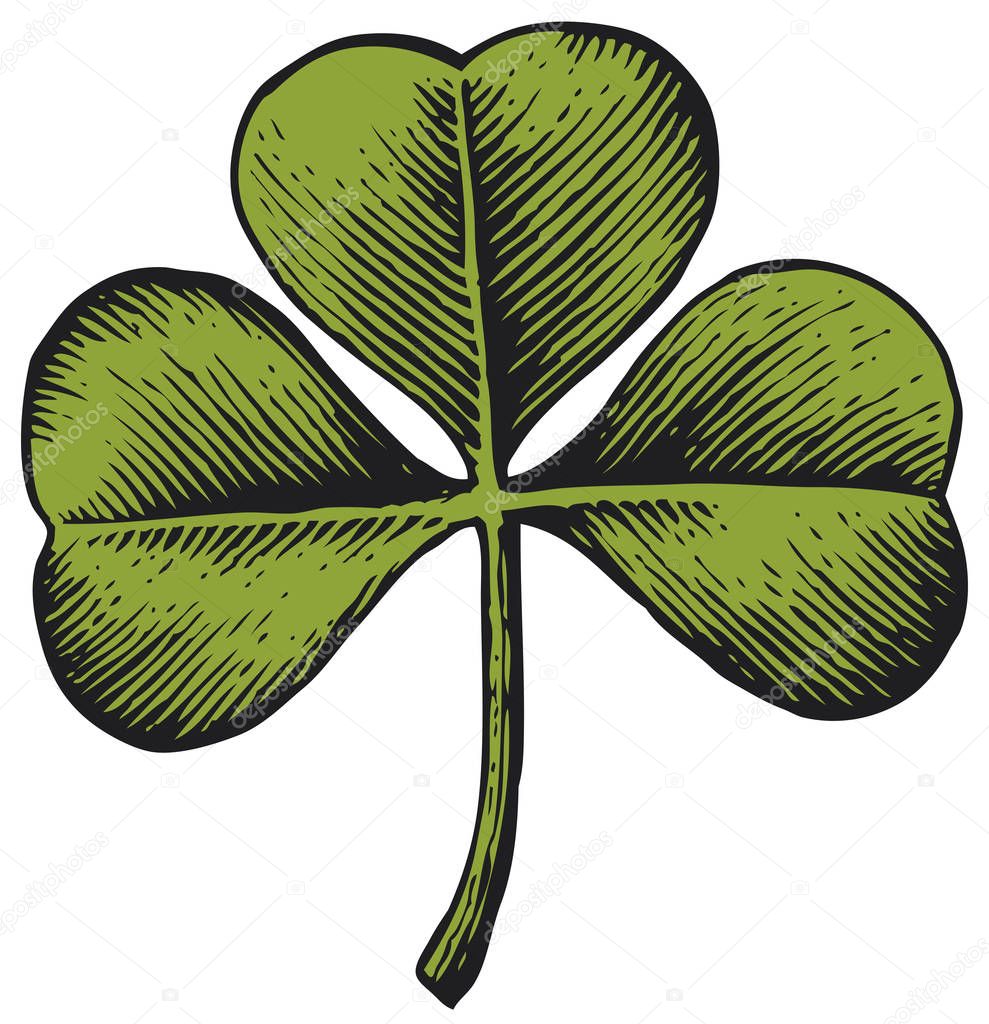Clover with three leaf - vintage engraved vector illustration (hand drawn style)