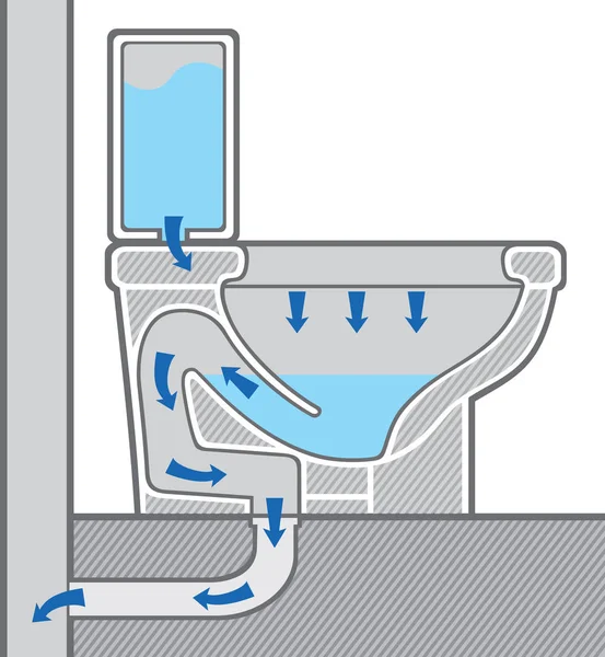 Structure de cuvette de toilette (système) section transversale — Image vectorielle