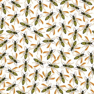 arka plan deseni Yaban arıları ile