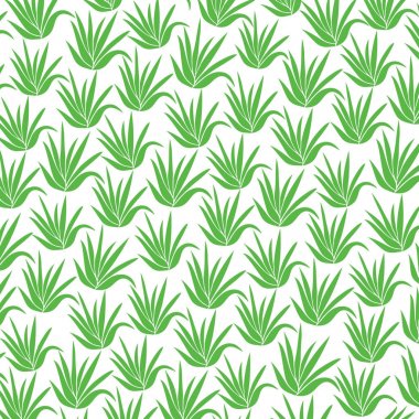 arka plan deseni ile aloe tesisi kutsal kişilerin resmi