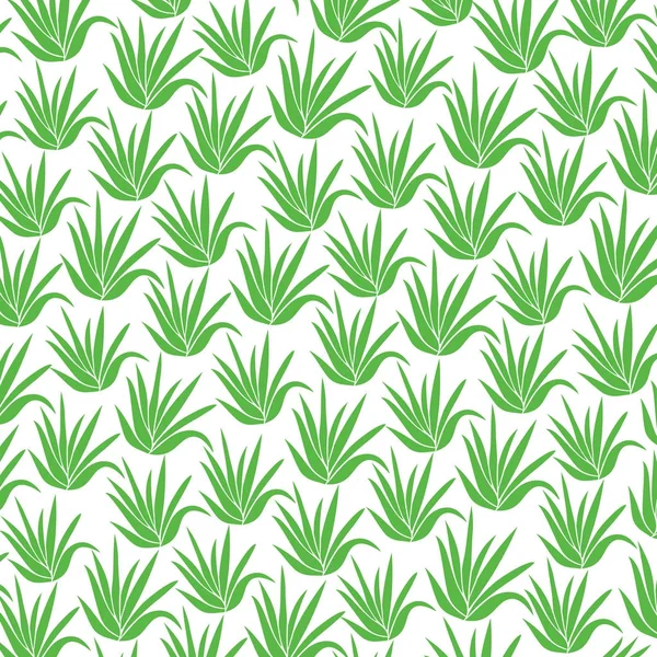 Motif de fond avec des icônes de plante d'aloès — Image vectorielle
