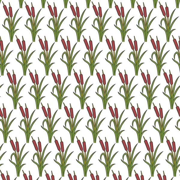 Motif de fond avec illustration vectorielle des roseaux (joncs et herbe ) — Image vectorielle