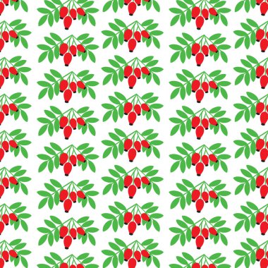 arka plan deseni kuşburnu ile 