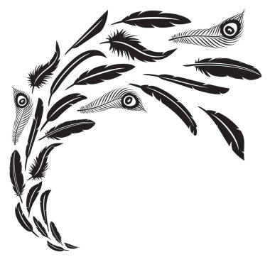 Uçuş vektör çizim tüyler