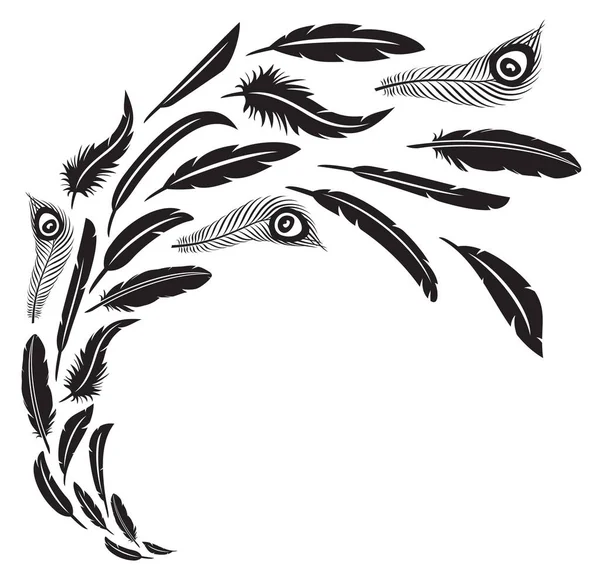 Uçuş vektör çizim tüyler