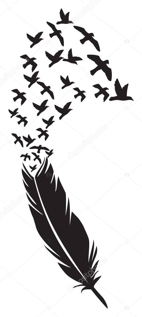 Feather with flying birds vector illustration