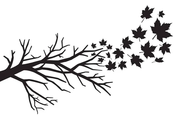 Branche Avec Vecteur Feuilles Tombantes — Image vectorielle