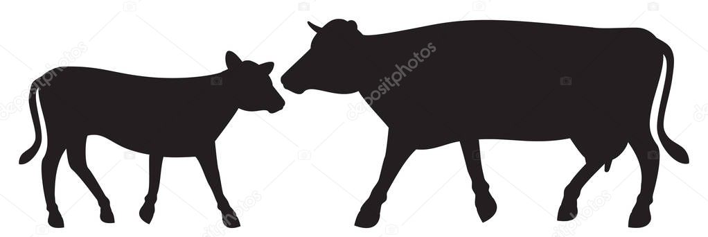cow and calf vector illustration